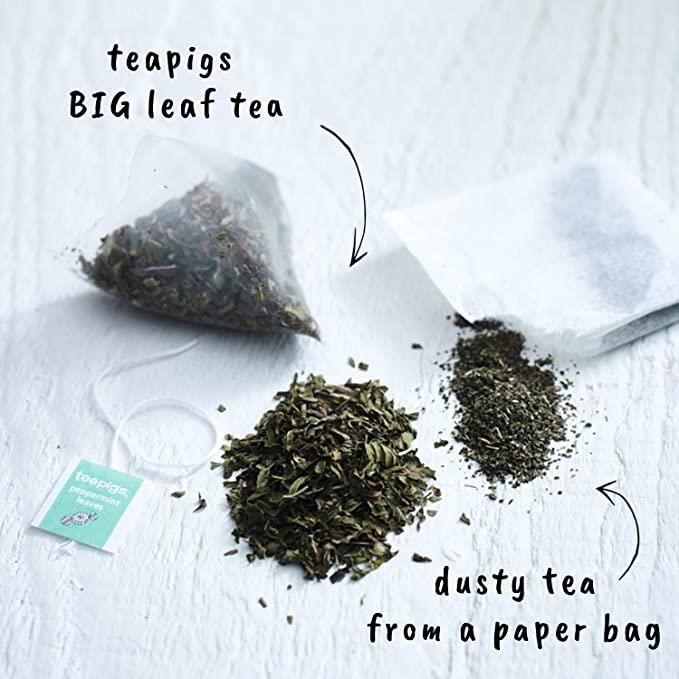 Teapigs Peppermint Leaves Tea 15 Pack 30g