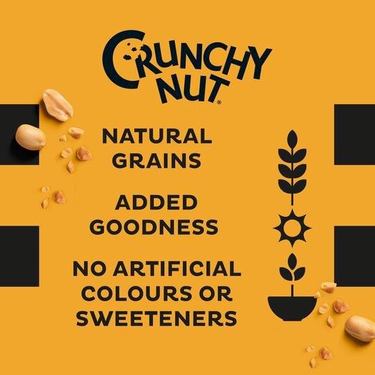 Kellogg's Crunchy Nut 500g